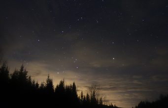 Forêt Montmorency, ciel étoilé